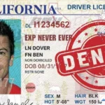 California Non-Domiciled CDLs