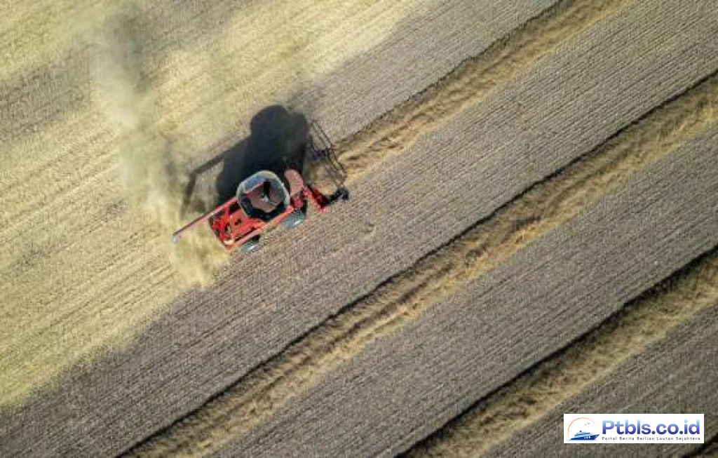 China Re-Enters Canadian Canola Market