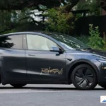 Tesla Robotaxi Crashes Texas