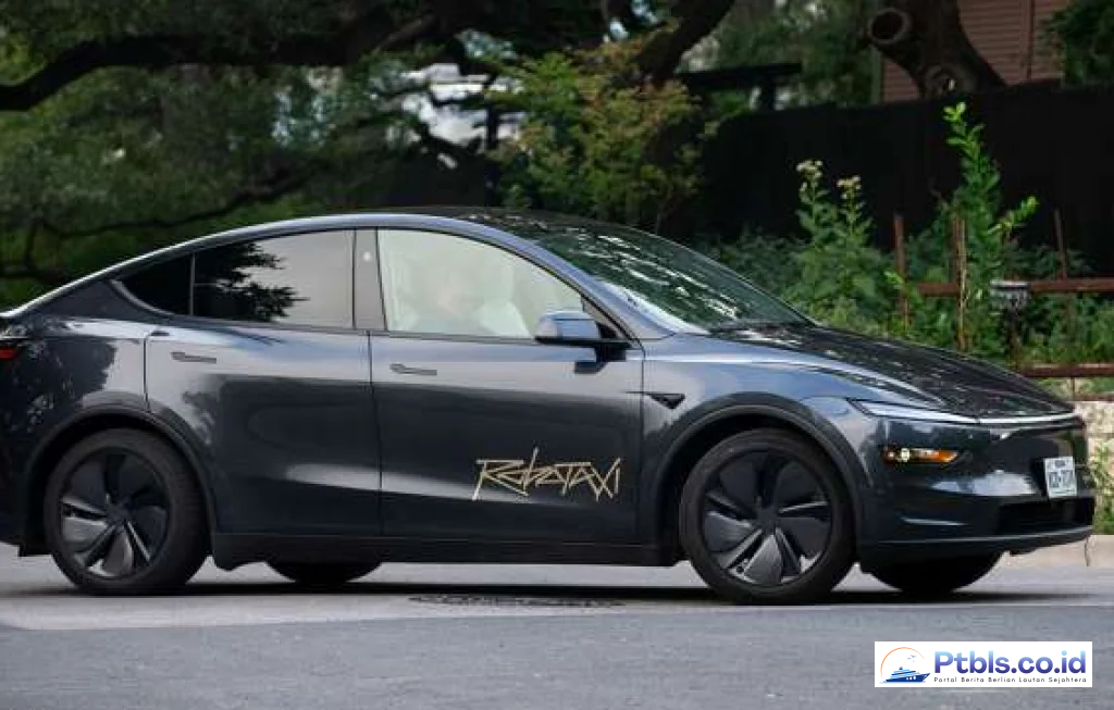 Tesla Robotaxi Crashes Texas