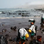 Tumpahan Minyak Louisiana Pembersihan Besar-Besaran Dimulai!