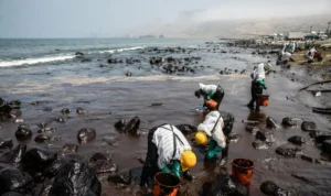 Tumpahan Minyak Louisiana Pembersihan Besar-Besaran Dimulai!