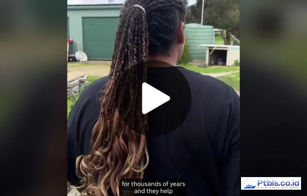 Pell Aid untuk Kursus Kerja