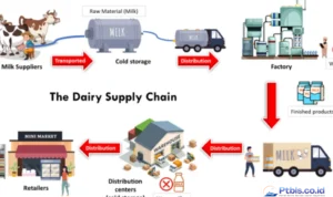supply chain rendah karbon