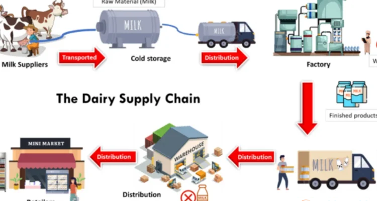 supply chain rendah karbon