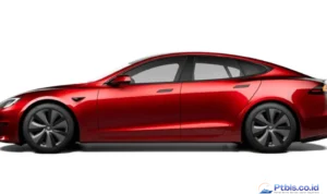 Tesla Model S X Signature Series