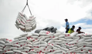 Gula Dalam Negeri, Ketersediaan Stok Aman tetapi Tantangan Produksi Masih Besar
