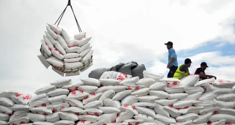 Gula Dalam Negeri, Ketersediaan Stok Aman tetapi Tantangan Produksi Masih Besar