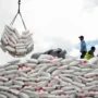 Gula Dalam Negeri, Ketersediaan Stok Aman tetapi Tantangan Produksi Masih Besar