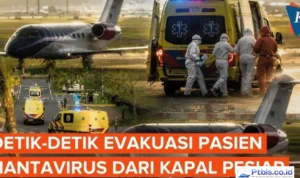 hantavirus setelah evakuasi kapal pesiar