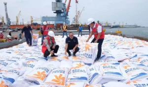 Impor Beras Terbanyak Indonesia, Negara Pemasok dan Alasan Angkanya Bisa Melonjak