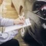 Asuransi Mobil, Jenis Perlindungan dan Ketentuan yang Perlu Dipahami